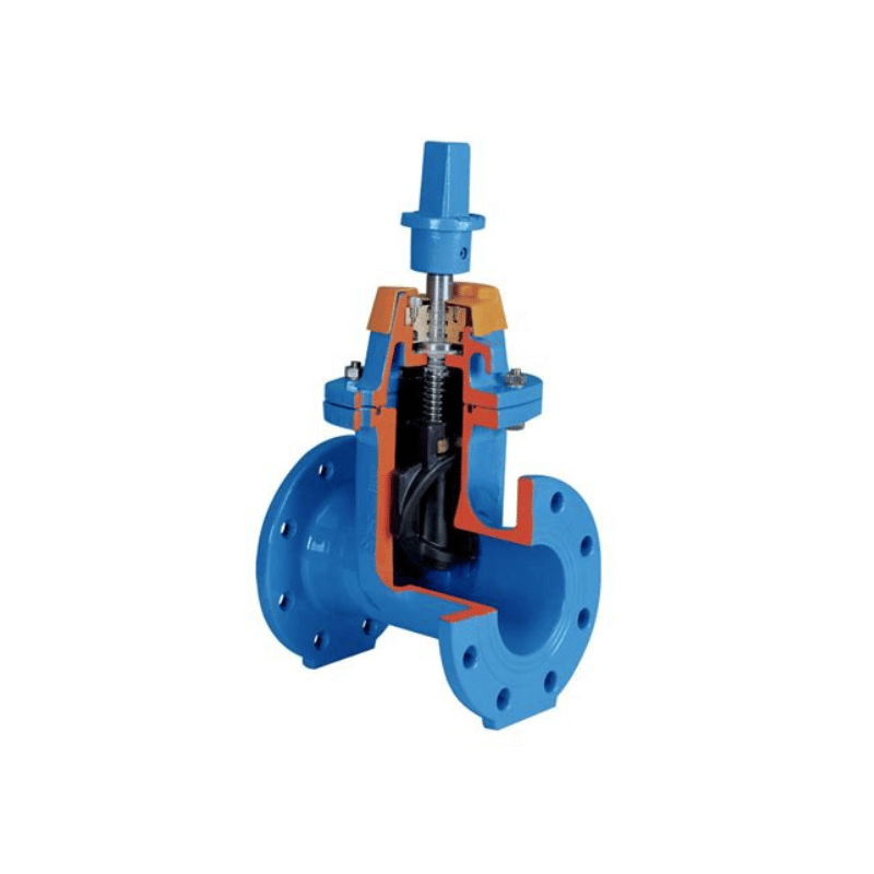 Type of gate valve - resilient seated